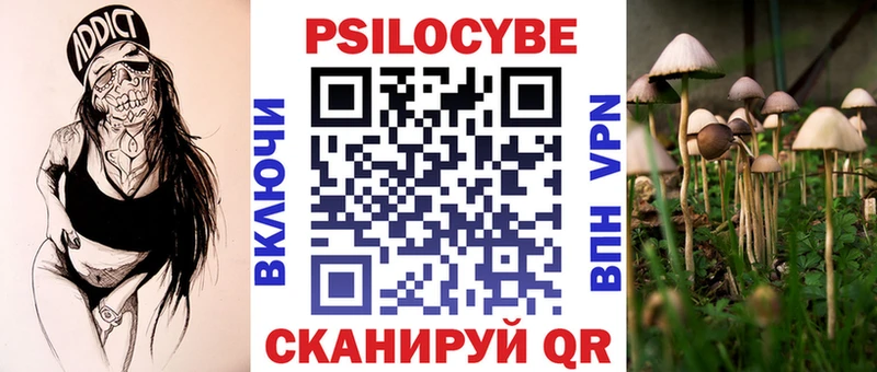 KRAKEN маркетплейс Вятские Поляны Галлюциногенные грибы Cubensis